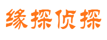 桥东市调查公司